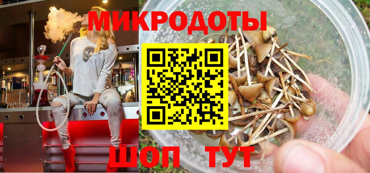 Галлюциногенные грибы MAGIC MUSHROOMS Камень-на-Оби