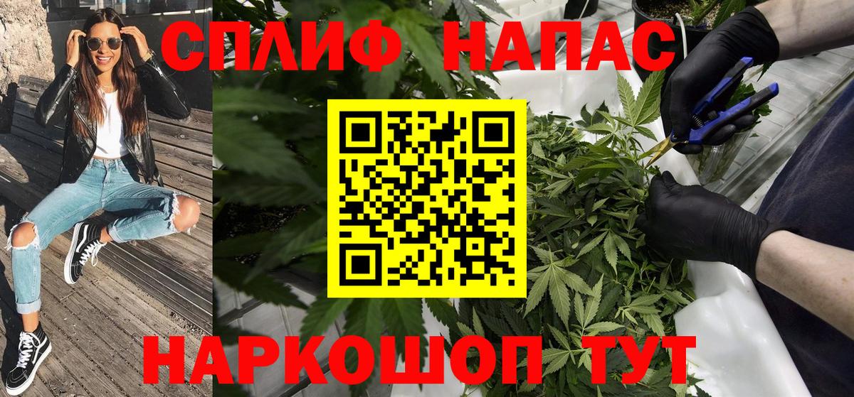 Бошки Шишки планчик Камень-на-Оби
